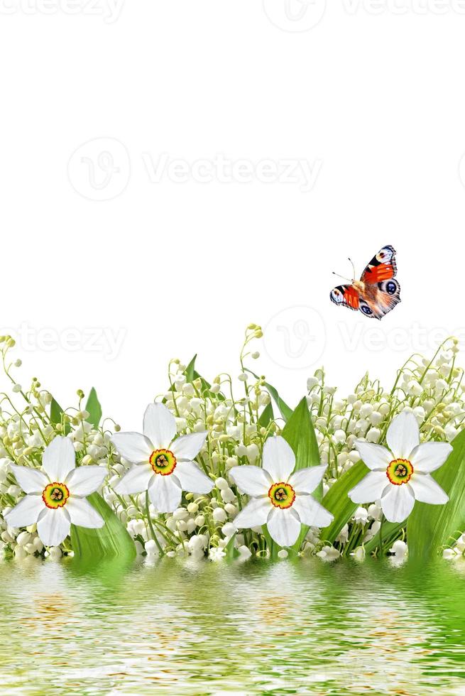 Spring flowers lily of the valley and daffodils 9887797 Stock Photo at