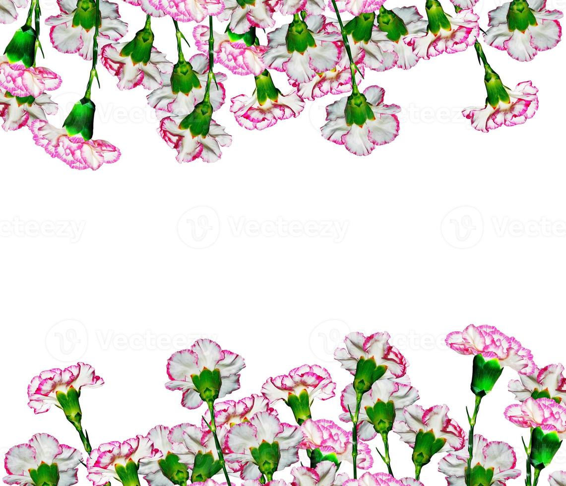 Bouquet of flowers carnation. photo
