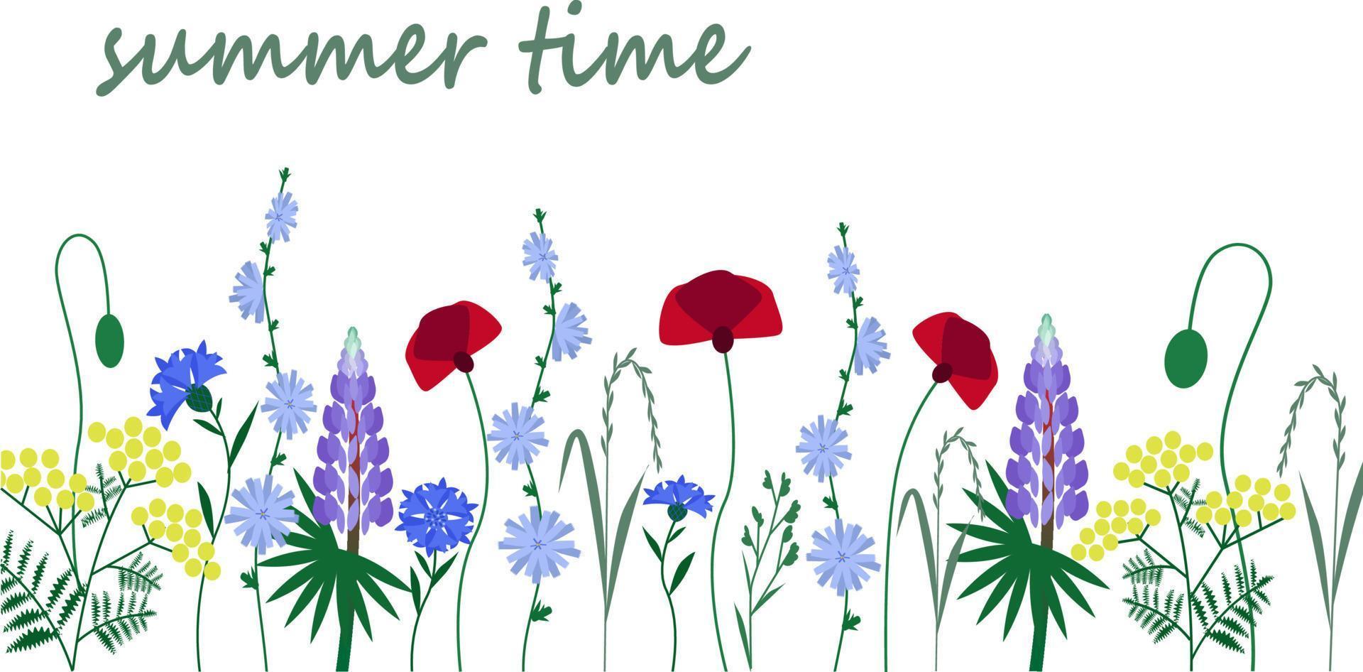 Wildflowers. Summer. Poppies, chicory, lupin, cornflowers. Vector illustration