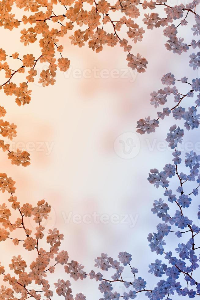 Blossoming branch apple. photo