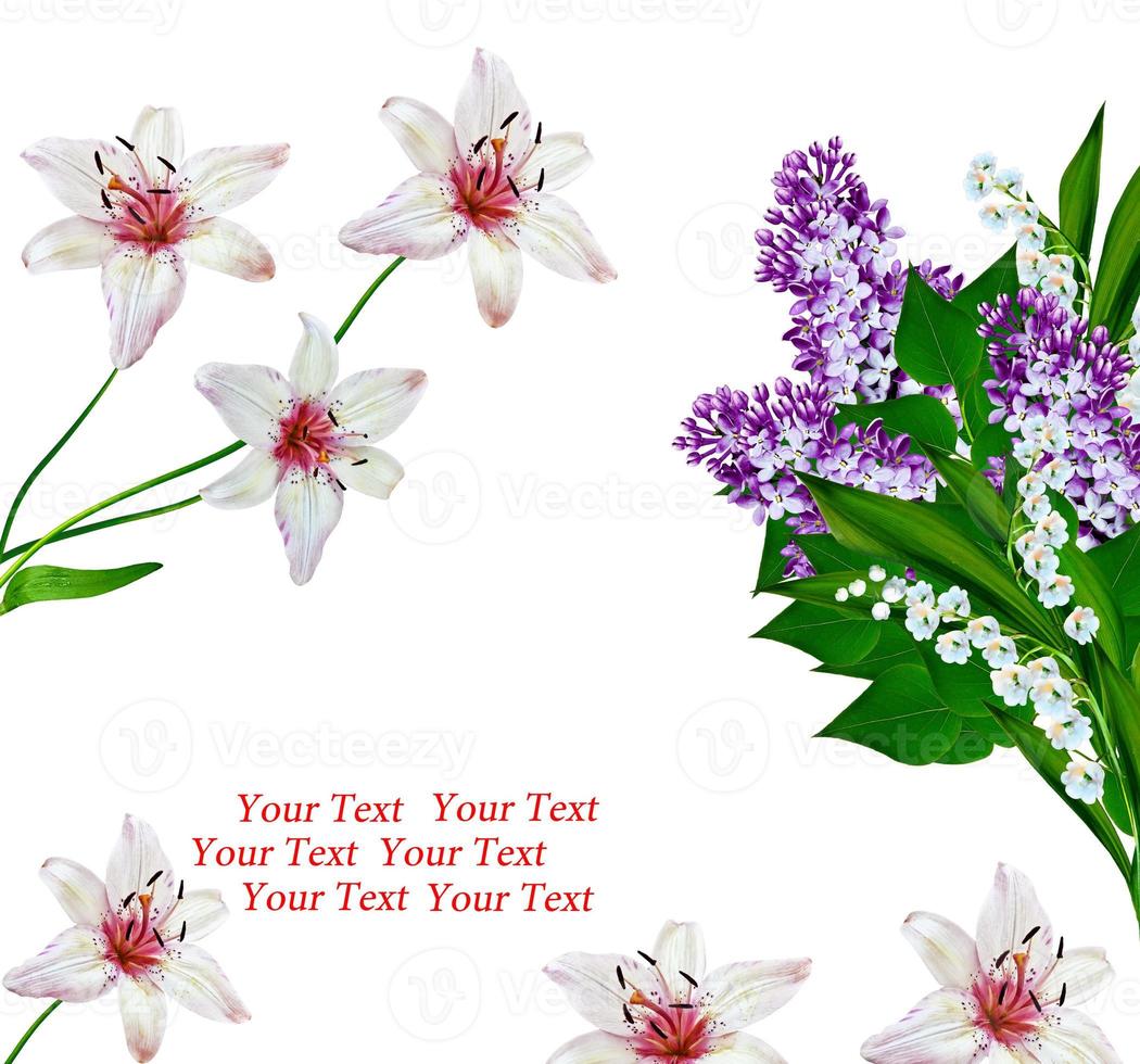 Branch of spring flowers lilac isolated on white background photo