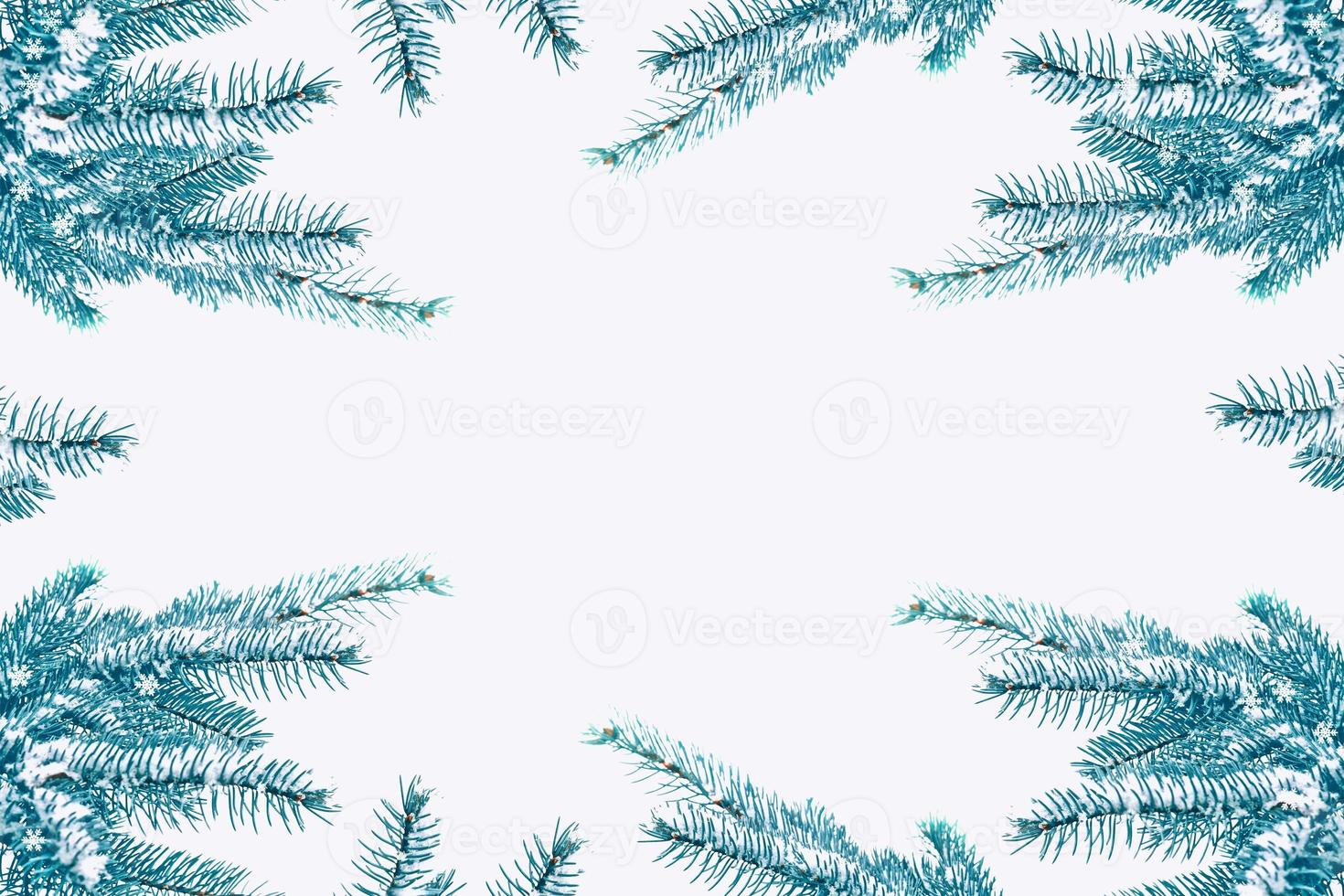 forest in the frost. Winter landscape. Snow covered trees. photo