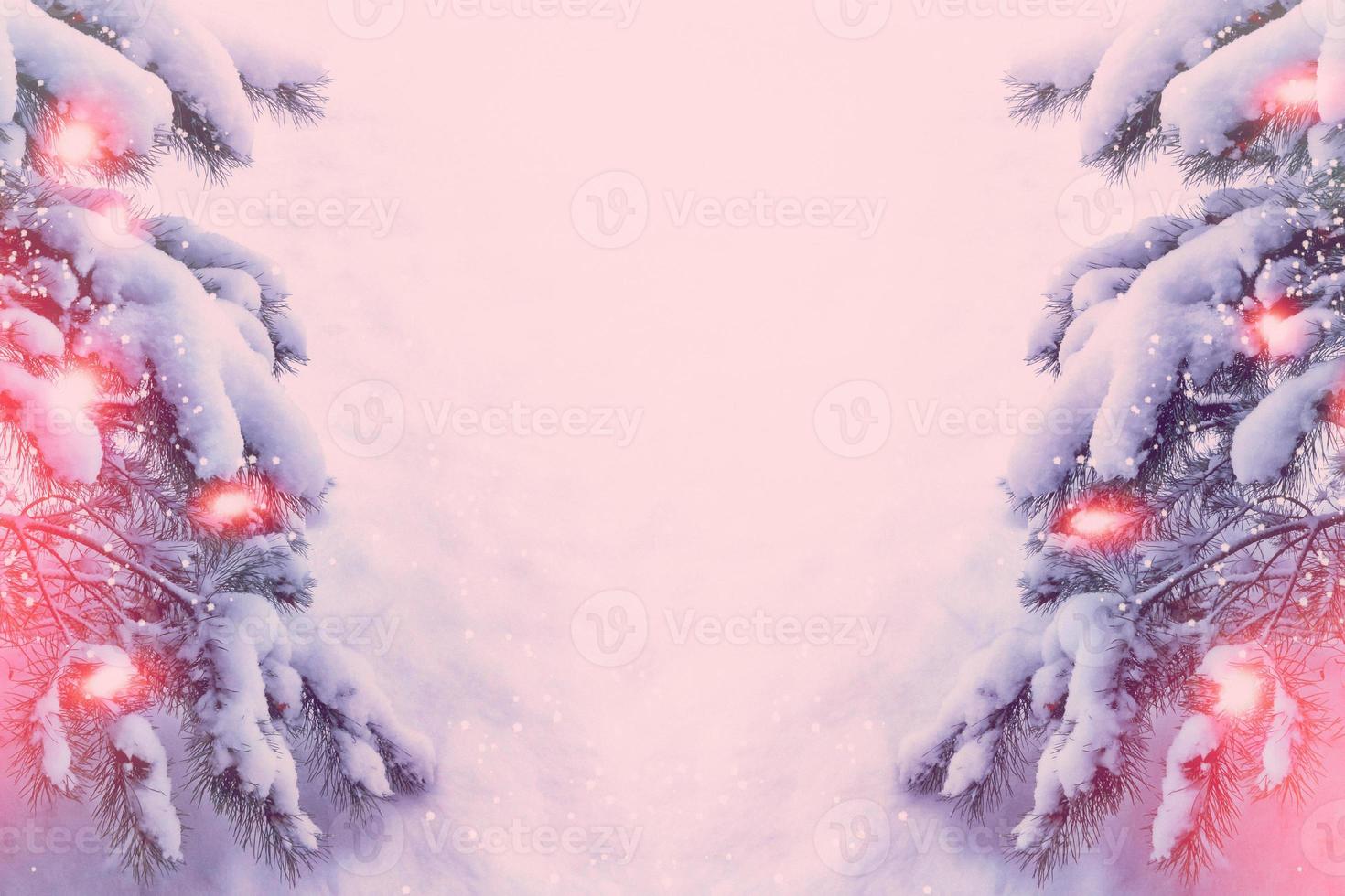 forest in the frost. Winter landscape. Snow covered trees. photo