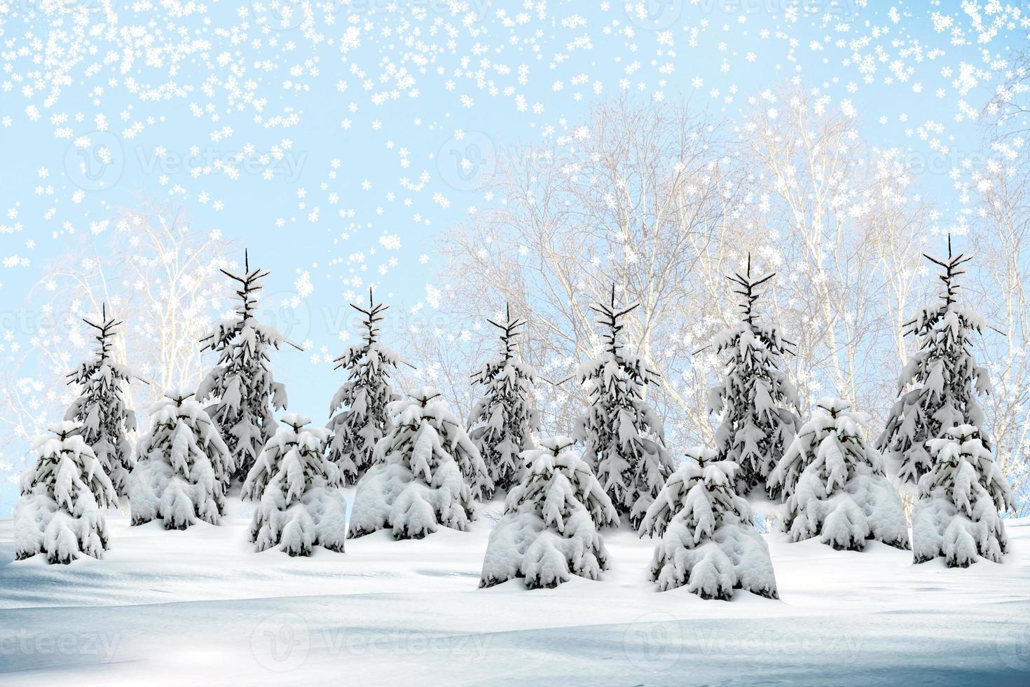 Winter forest. Winter landscape. photo
