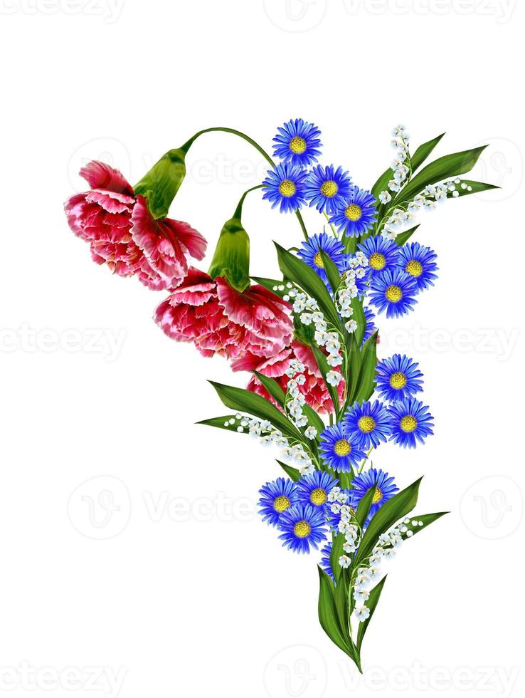carnation flowers isolated on white background photo