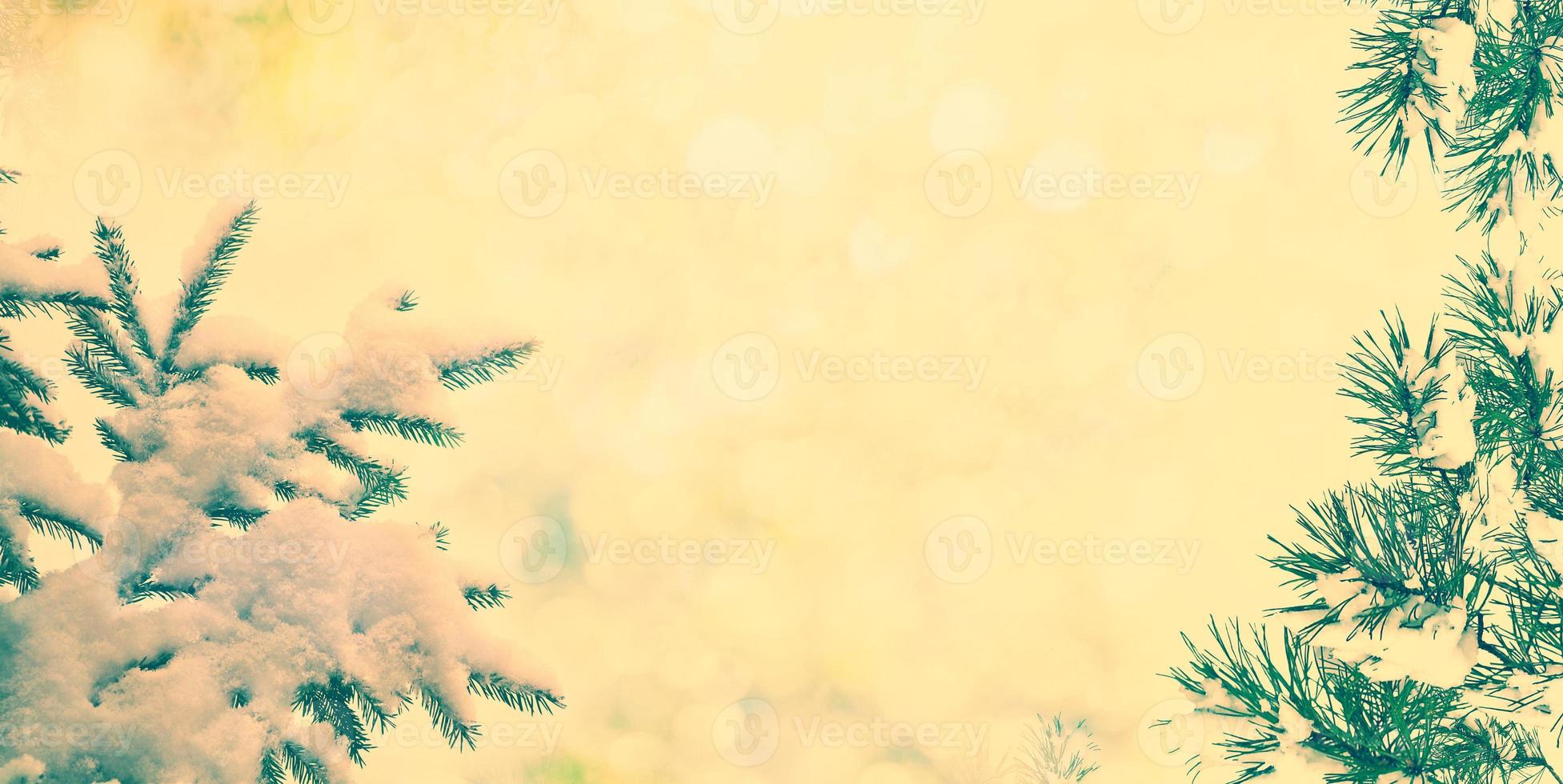 forest in the frost. Winter landscape. Snow covered trees. photo