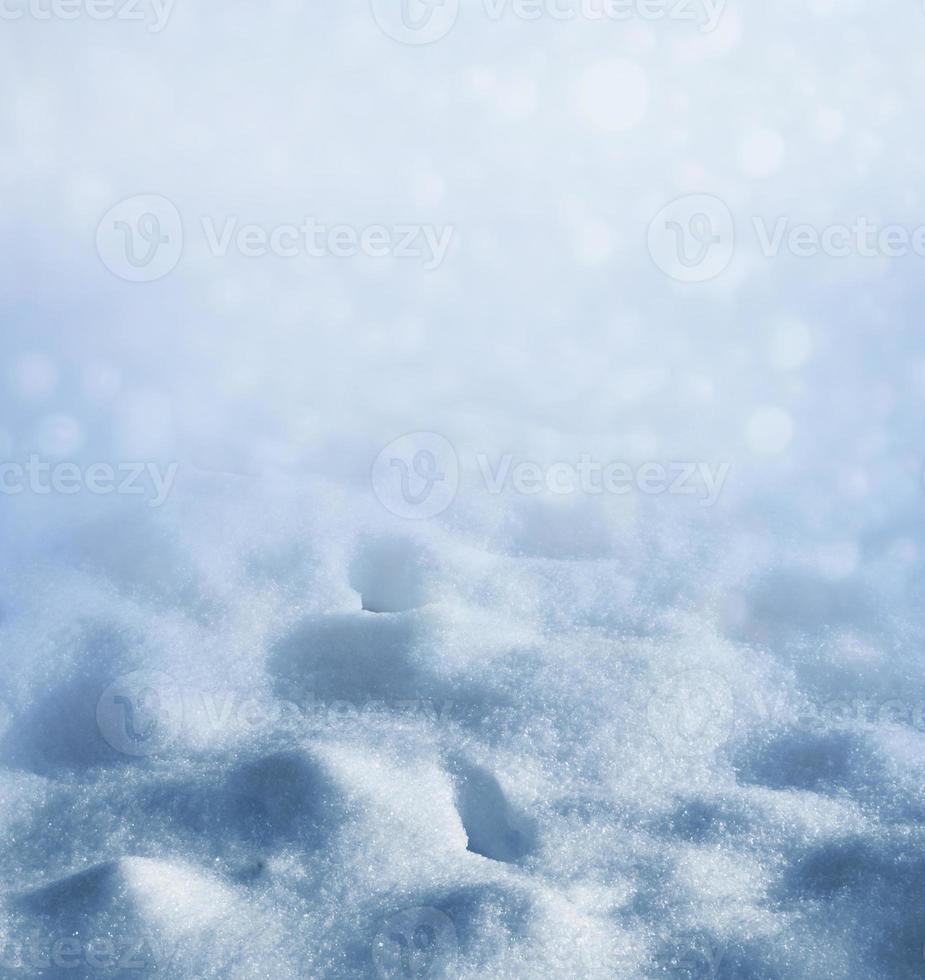 Background. Winter landscape. The texture of the snow photo