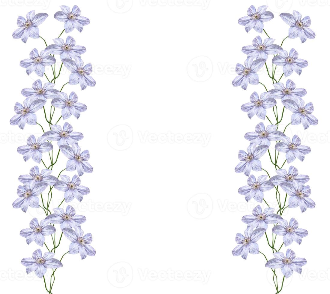 Flowers pattern. Frame. photo