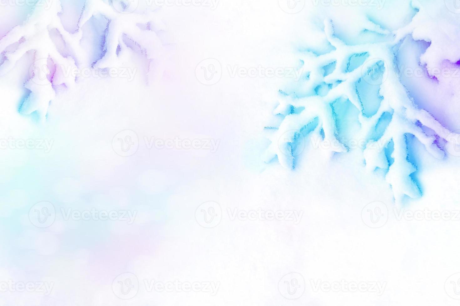 forest in the frost. Winter landscape. Snow covered trees. photo