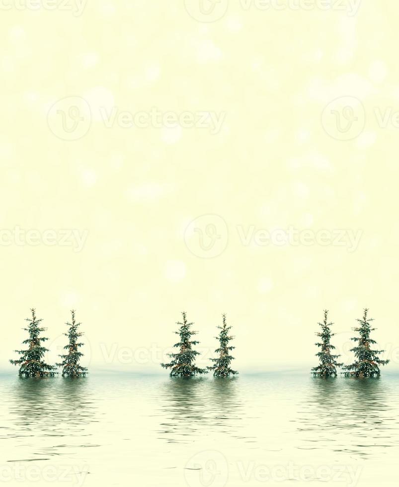 Frozen winter forest with snow covered trees. photo