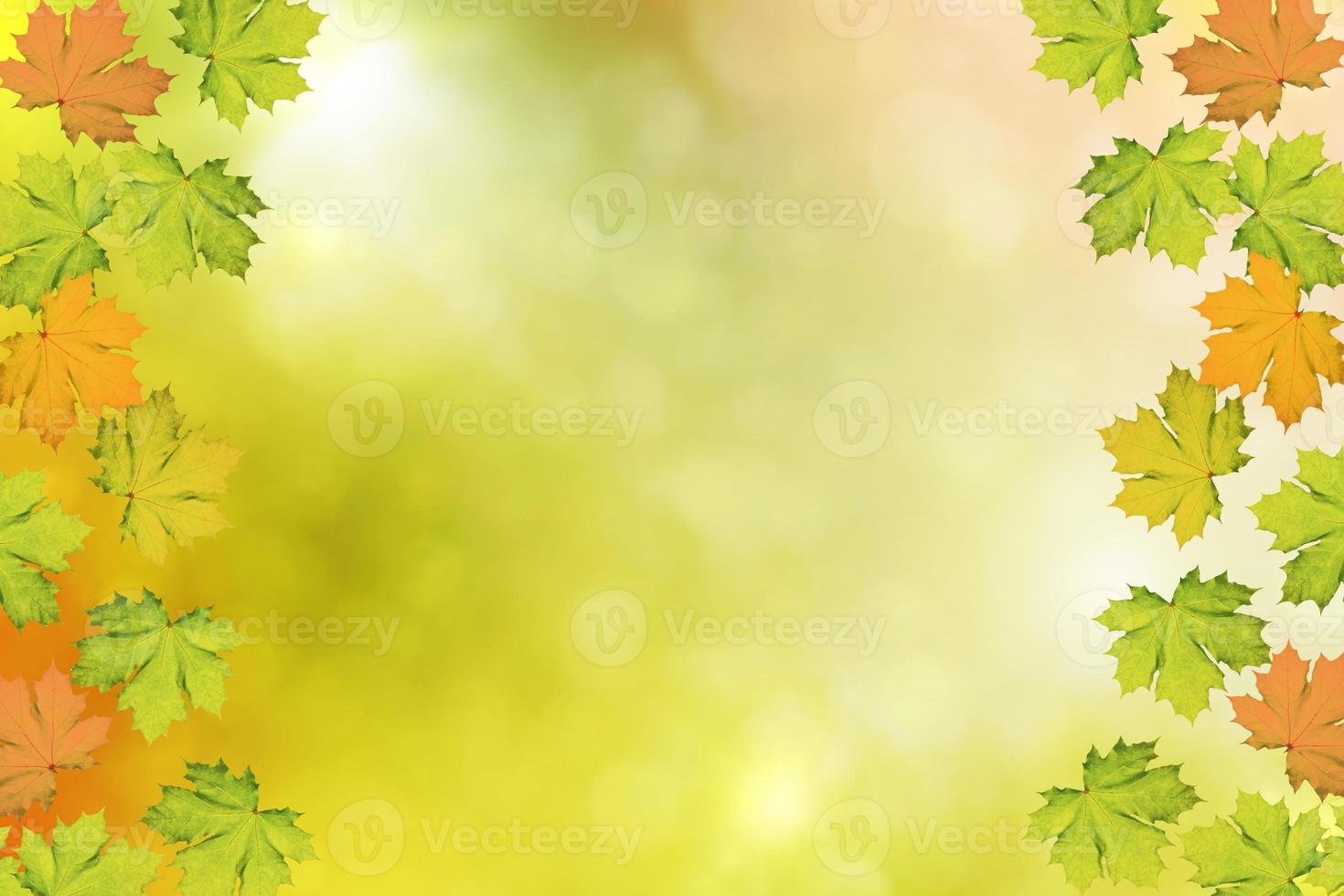 autumn landscape with bright colorful foliage. Indian summer. photo