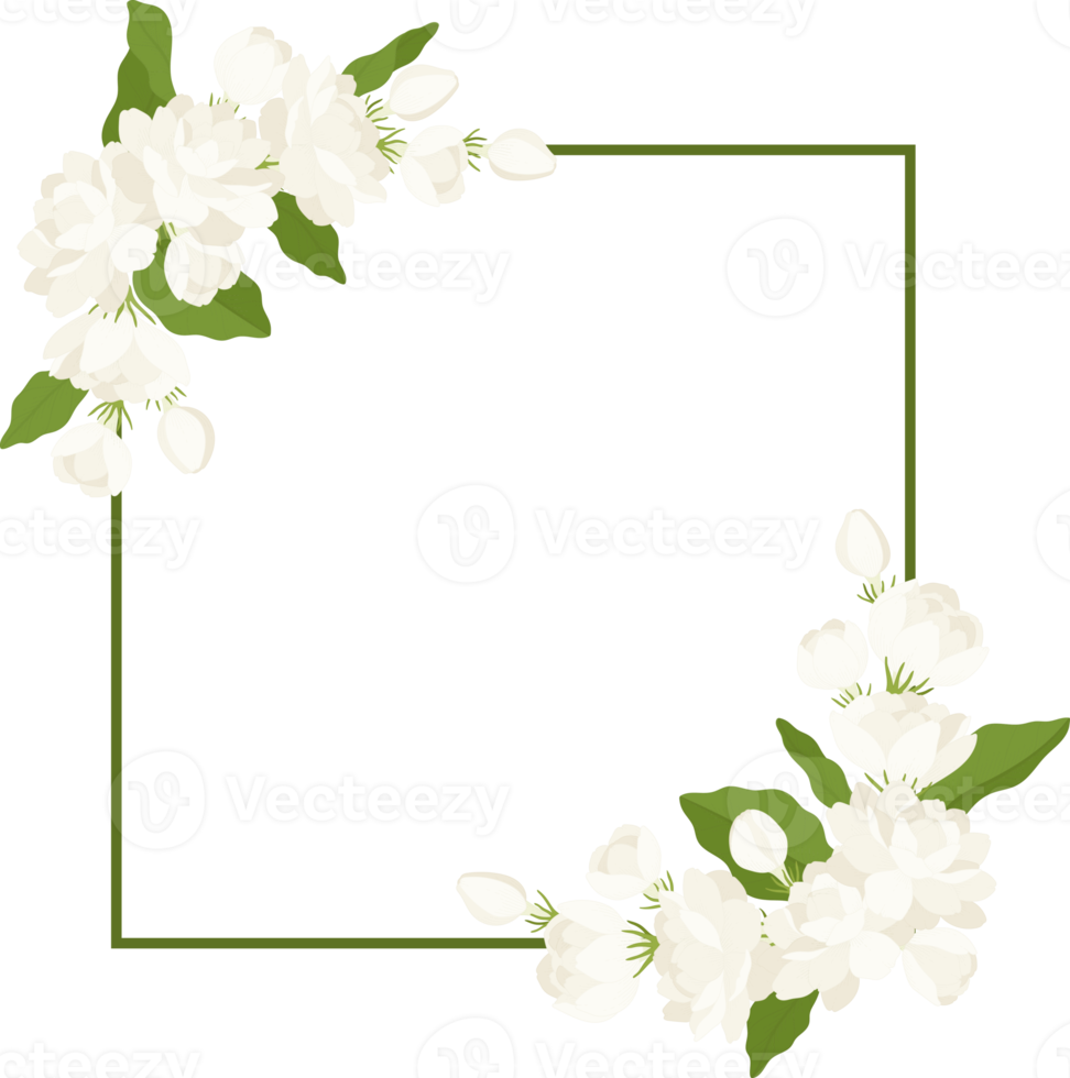 Wreath of jasmine flower illustration. png