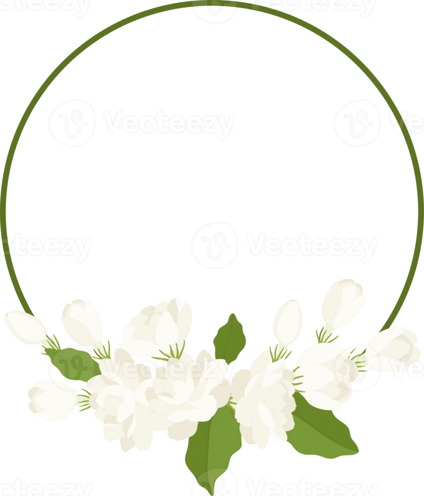 Wreath of jasmine flower illustration. png
