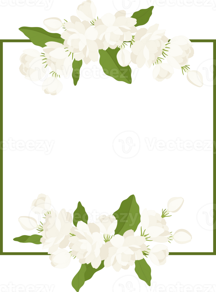 Wreath of jasmine flower illustration. png