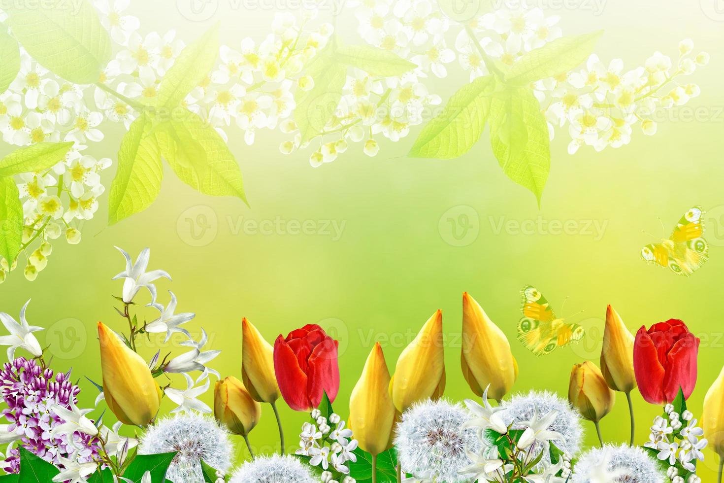 Floral background with bright spring flowers. photo