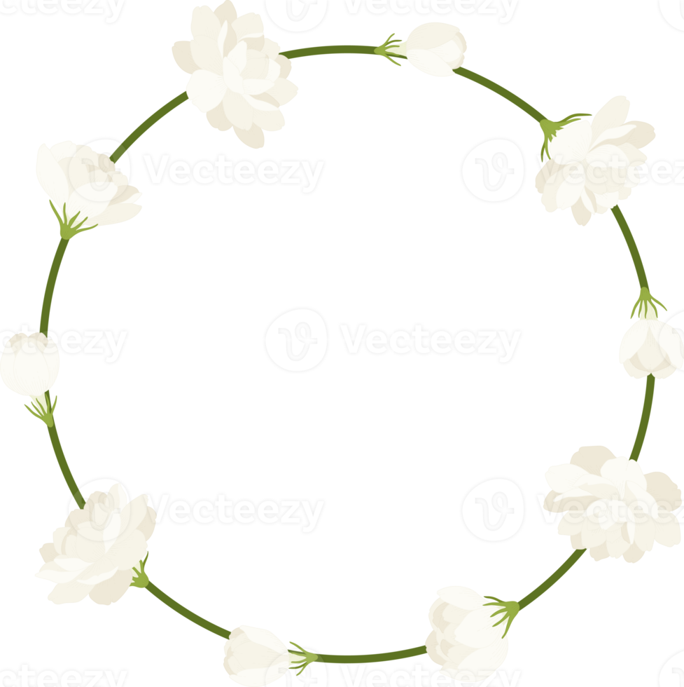 Wreath of jasmine flower illustration. png