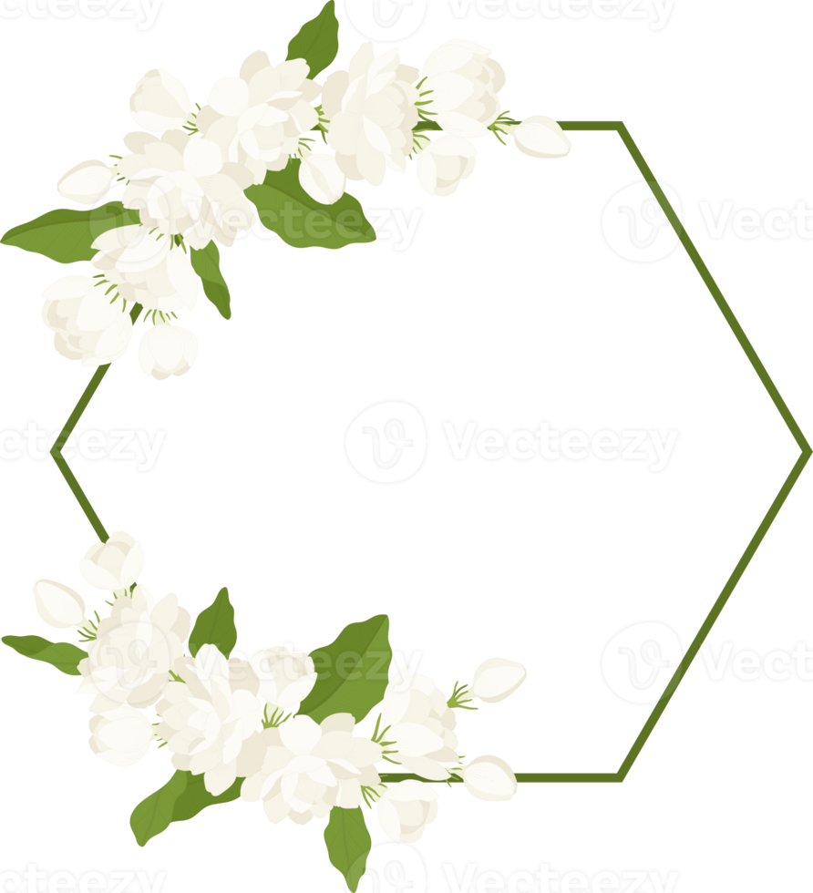 Wreath of jasmine flower illustration. png