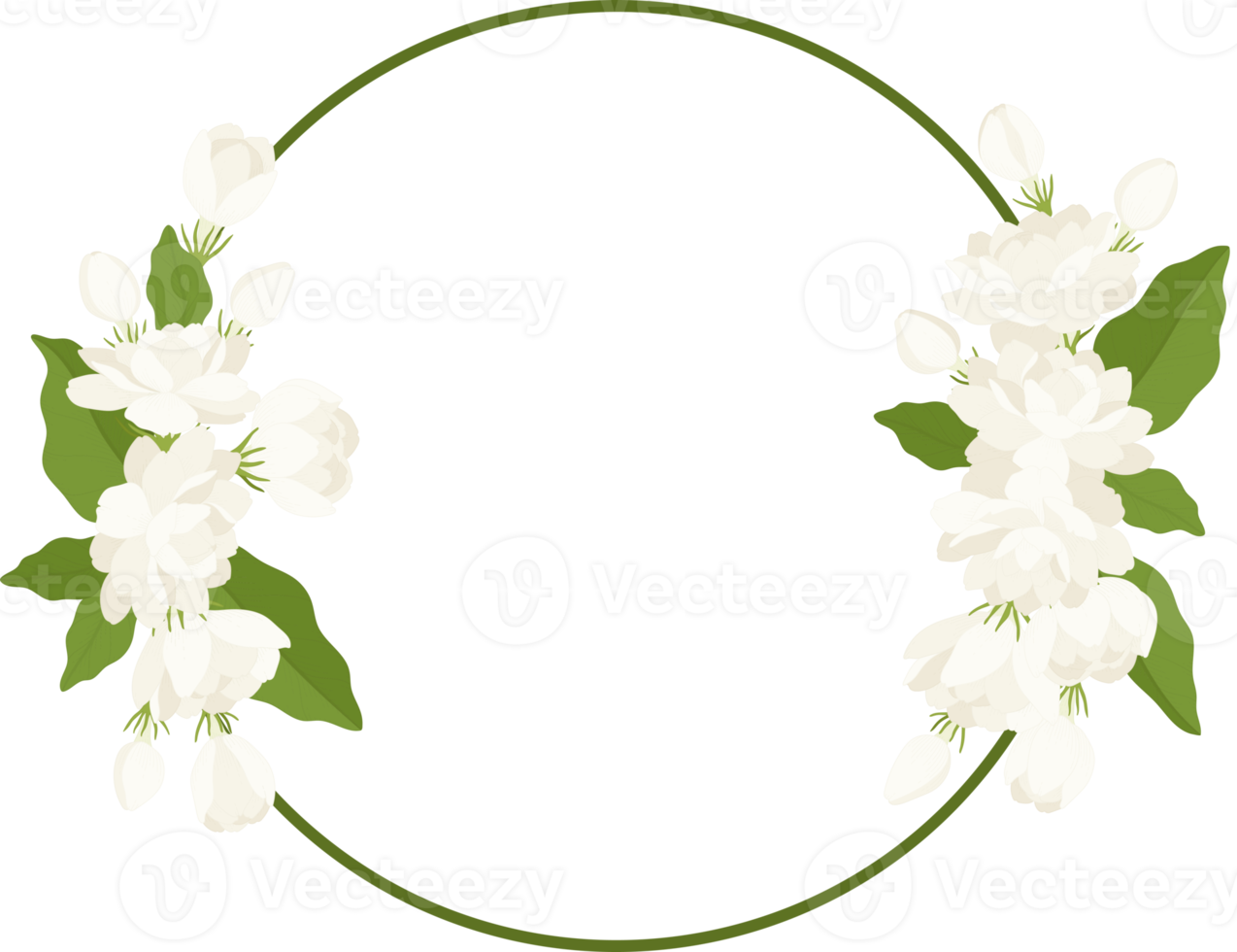 Wreath of jasmine flower illustration. png