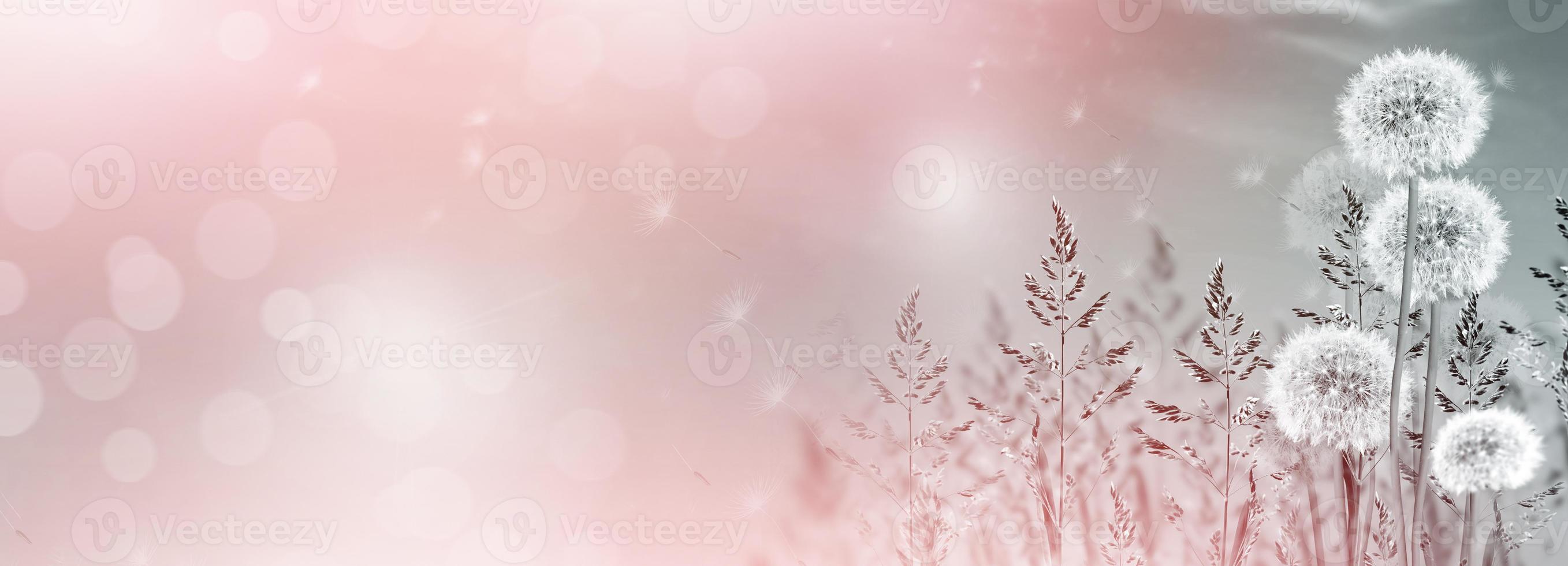 Fluffy dandelion flower against the background of the summer landscape. photo