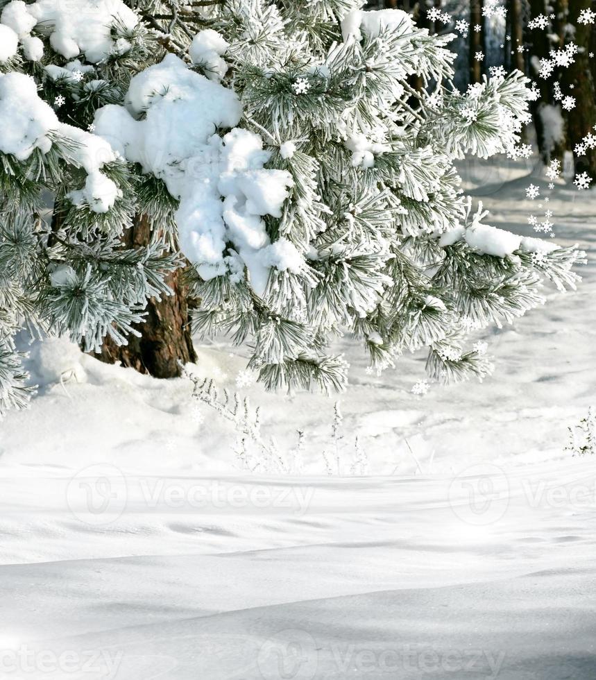 paisaje de invierno tarjeta de vacaciones foto