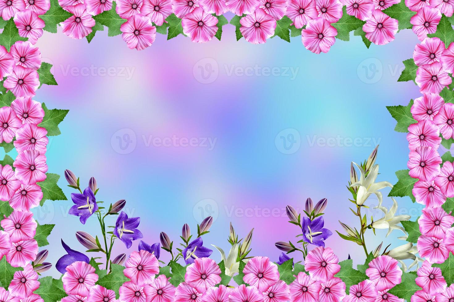 paisaje de verano. marco de hermosas flores de colores de petunia. foto