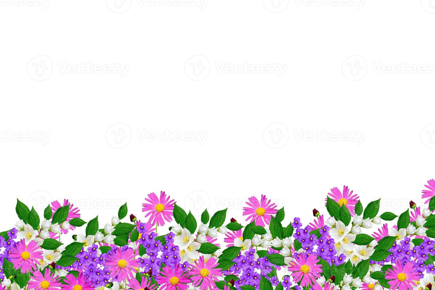 Colorful spring flowers photo