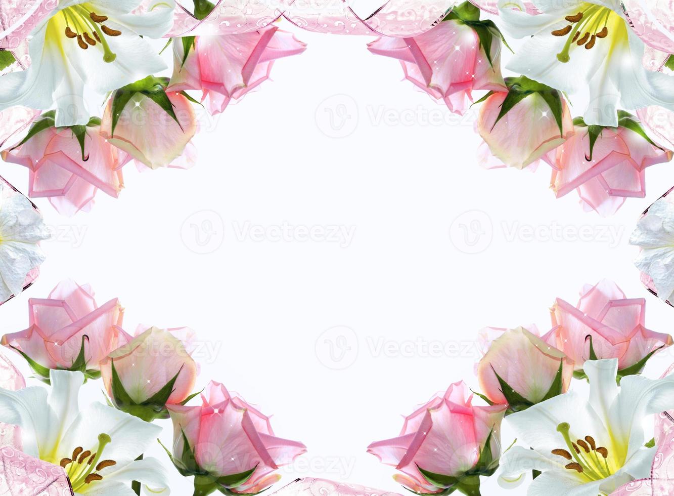 Five roses on a white background. floral background photo