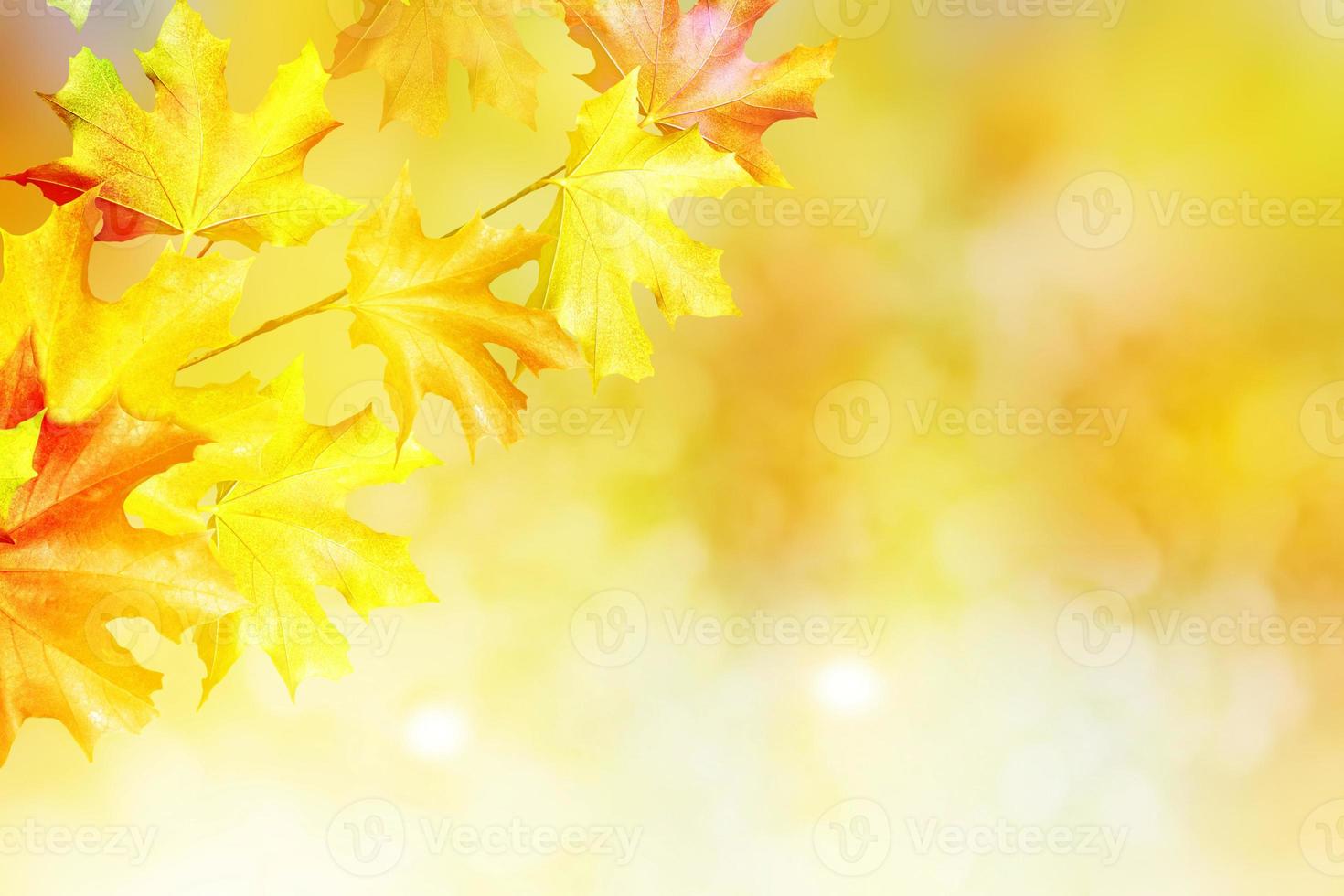 autumn landscape with bright colorful foliage. Indian summer. photo