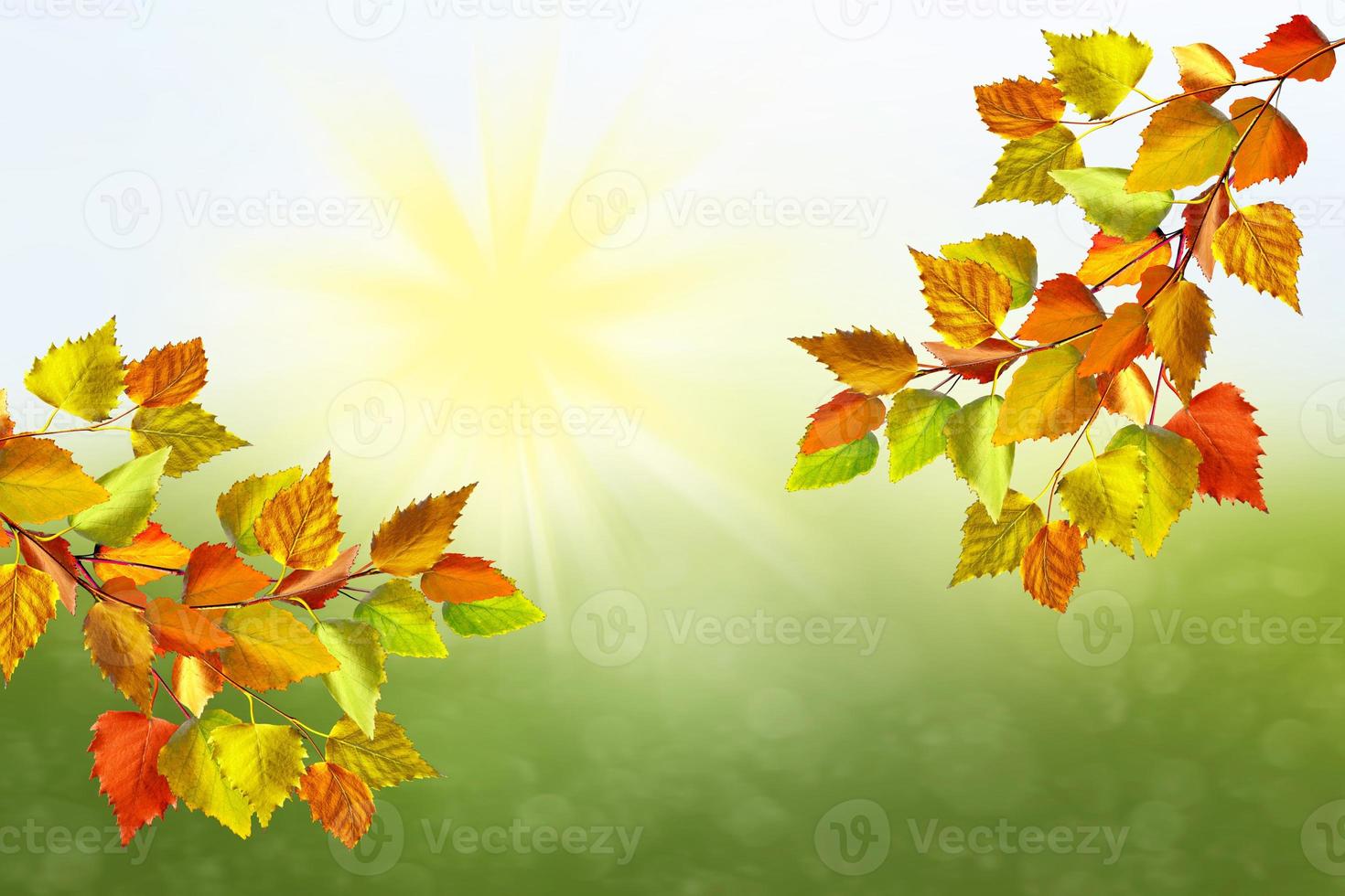 autumn landscape with bright colorful foliage. Indian summer. photo