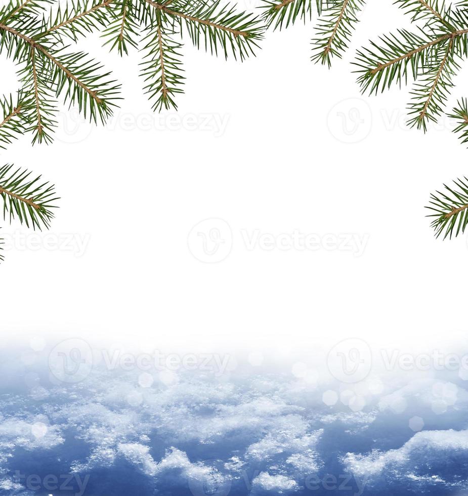 Christmas card with fir branches. photo