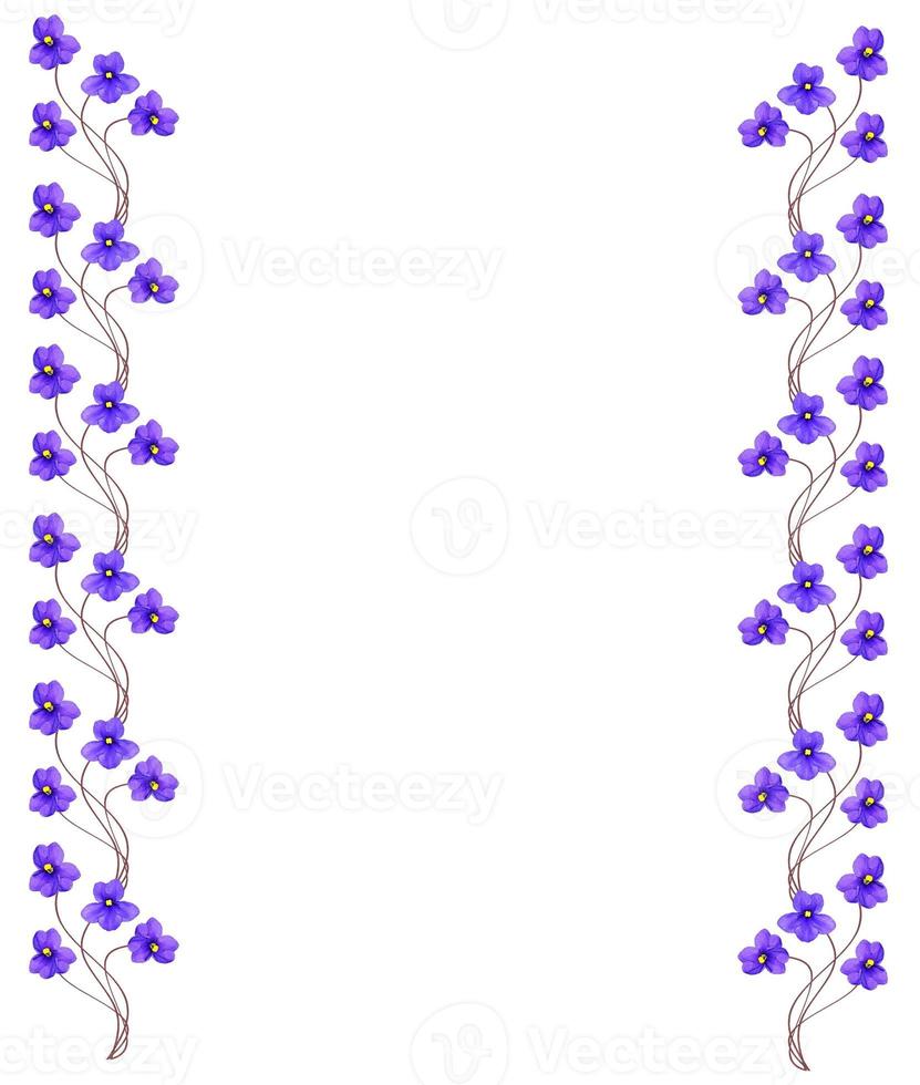 Bouquet of colorful flowers of violets. photo