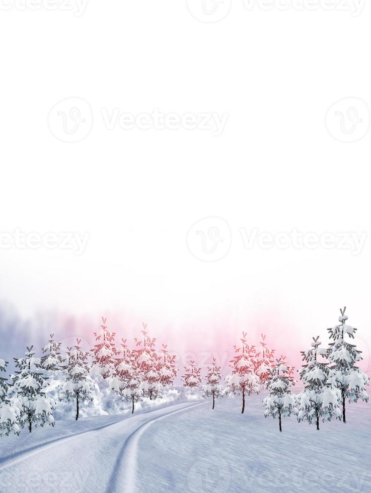Winter forest.  Snow covered trees photo