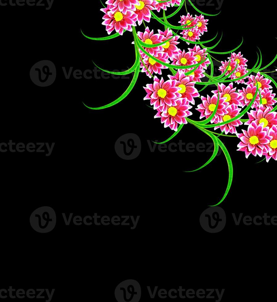 Flowers isolated on black background. photo