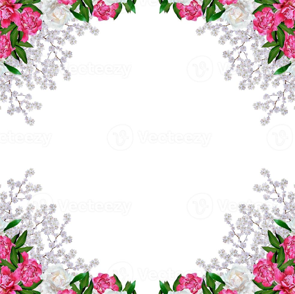 Colorful bright flowers peonies isolated on white background. photo