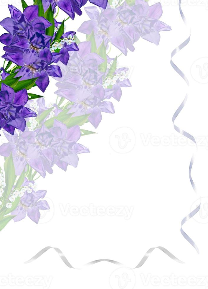 Blue iris flower isolated on white background. Holiday card photo