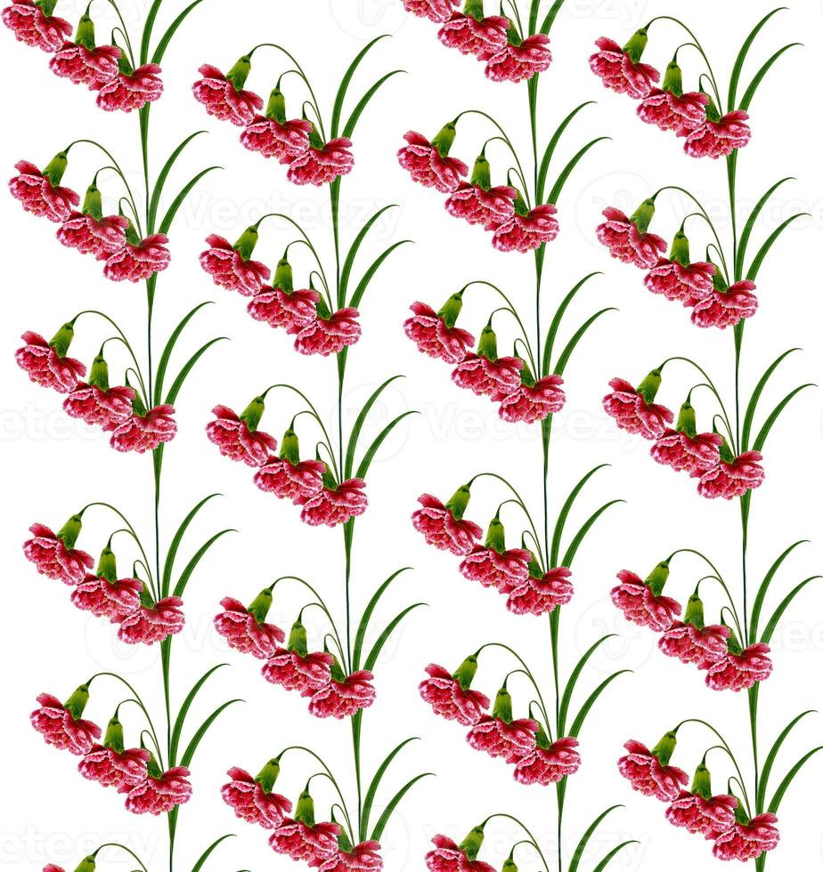 Carnation flowers. Floral composition. photo