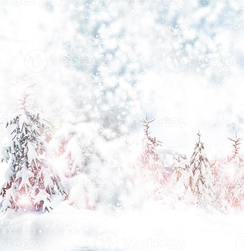 Winter forest. Snow. photo