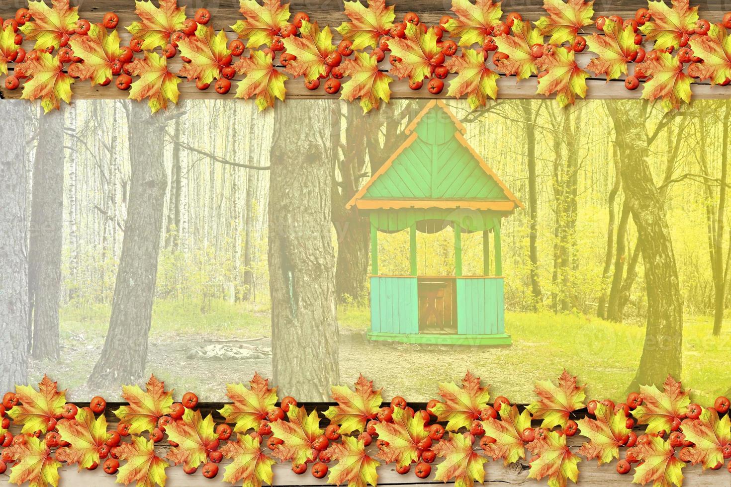 abstract background of autumn leaves photo