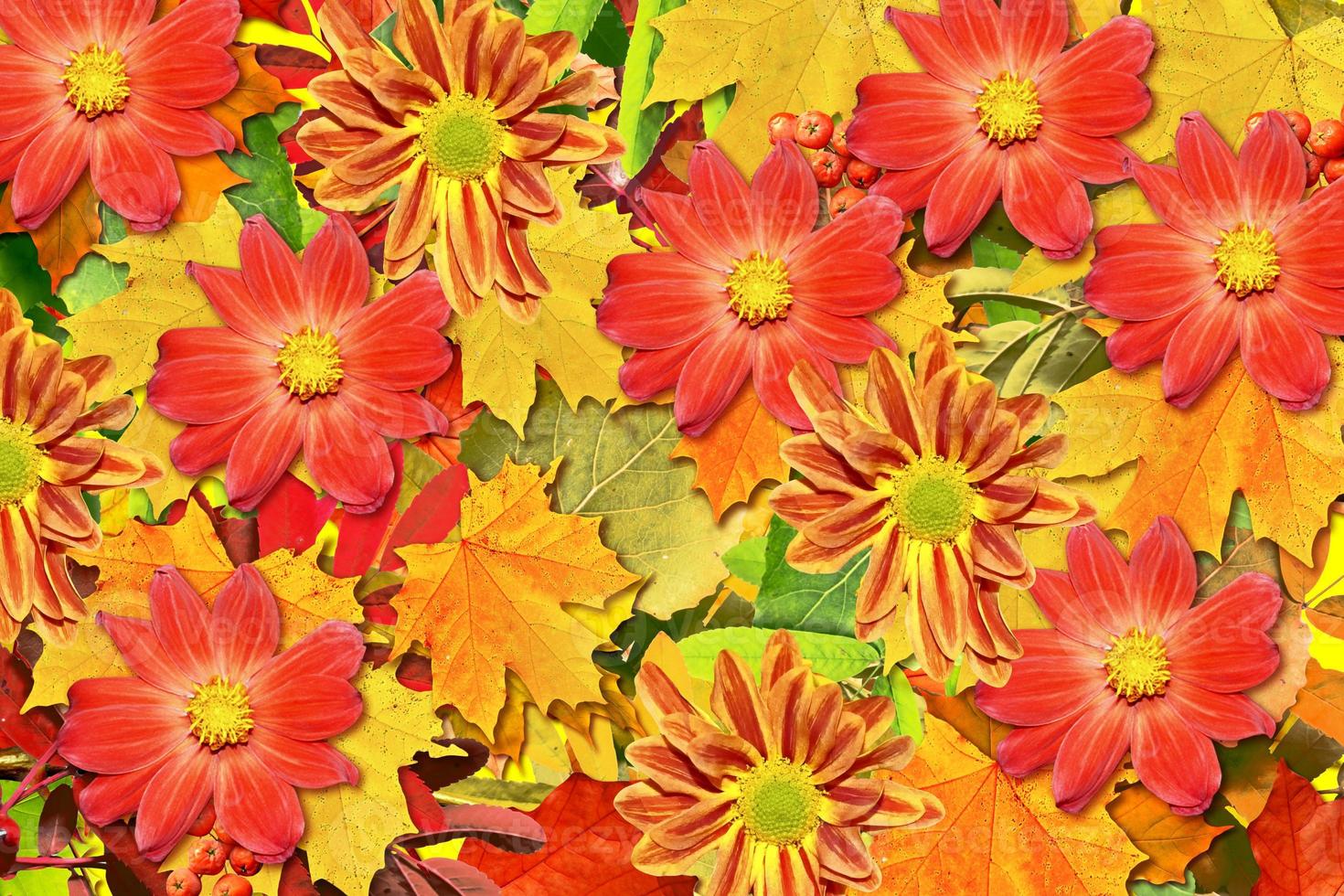 abstract background of autumn leaves photo