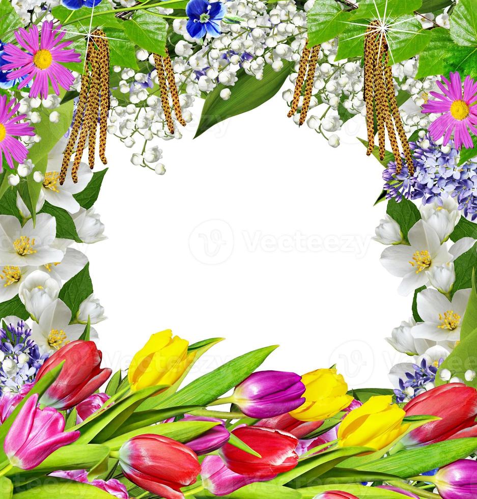 Spring flowers. frame photo