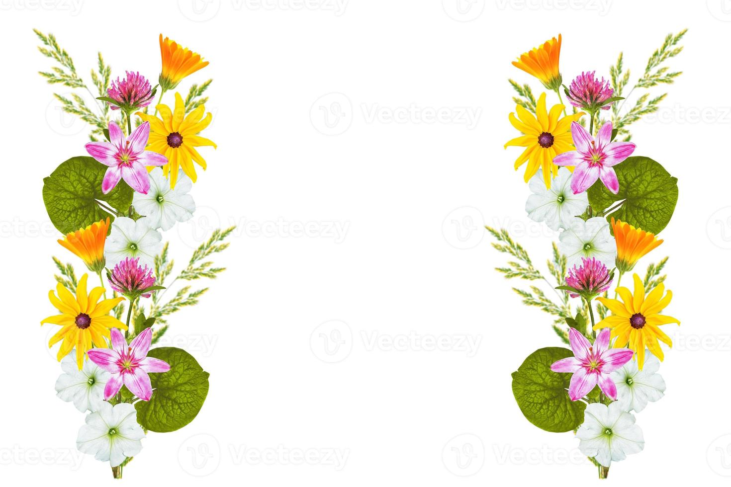 Floral background. Wildflowers isolated on a white background. Bouquet of flowers. photo