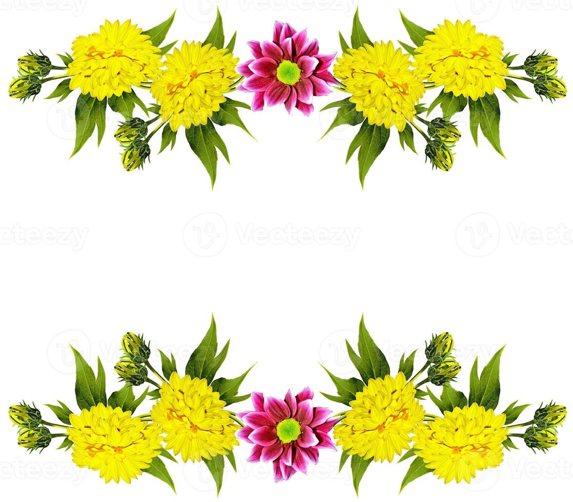 Bouquet of flowers dahlias. Flowers isolated on white background. photo