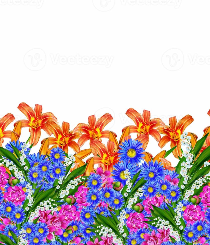 lily flowers isolated on white background photo