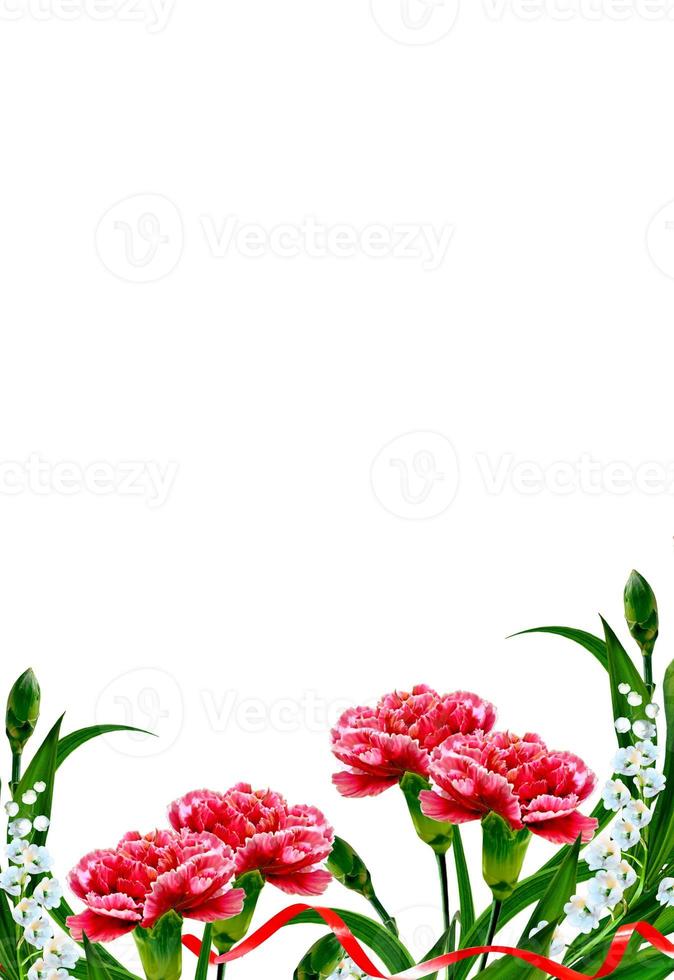 Bouquet of flowers carnation. Flowers isolated on white background. photo
