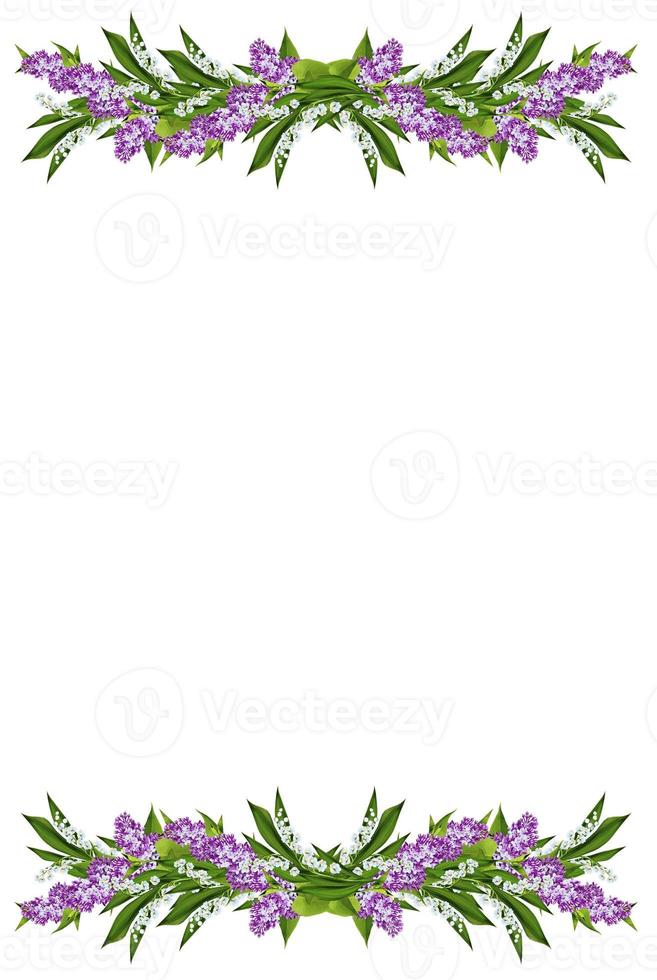 spring flowers lilac  isolated on white background photo
