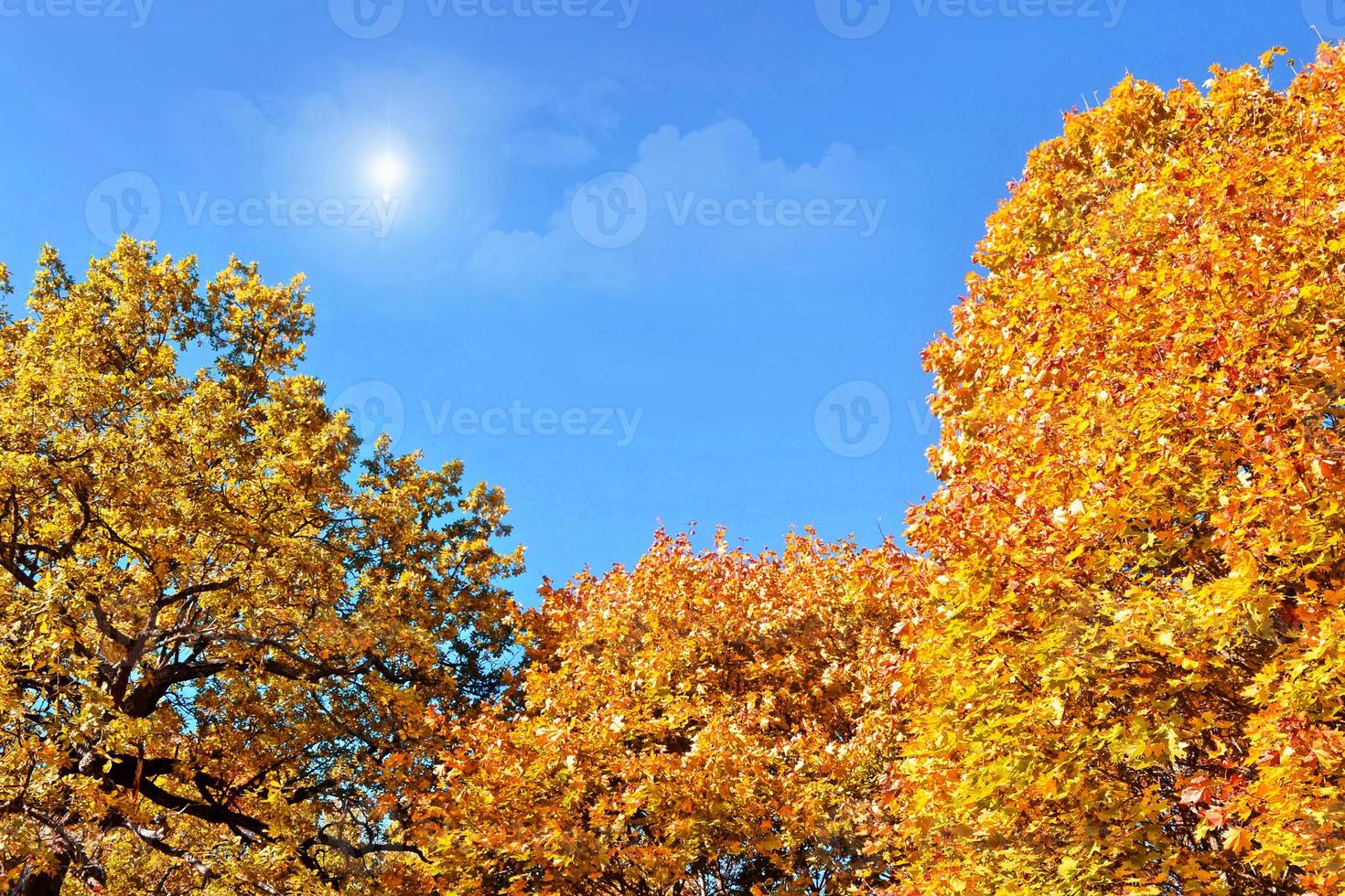 autumn landscape with bright colorful foliage. Indian summer. photo