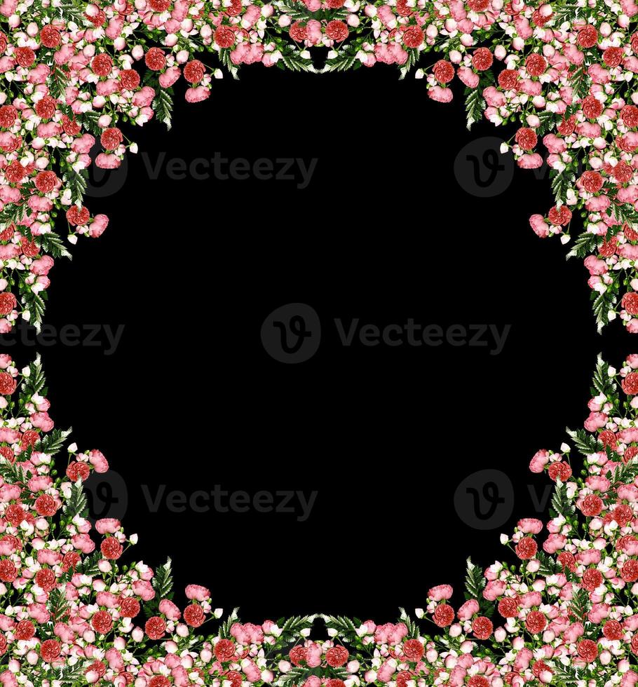 Bright colorful flowers wild rose isolated on a black background photo