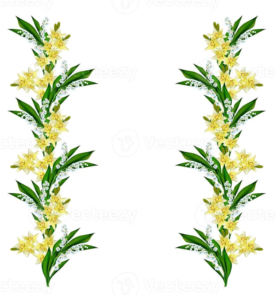 Flower lily isolated on white background. photo