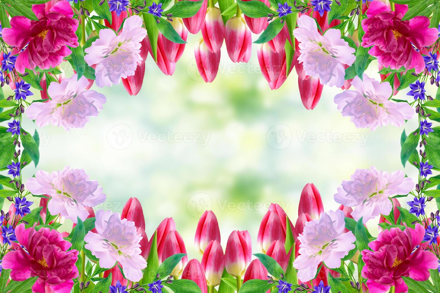 Bright and colorful flowers tulips photo