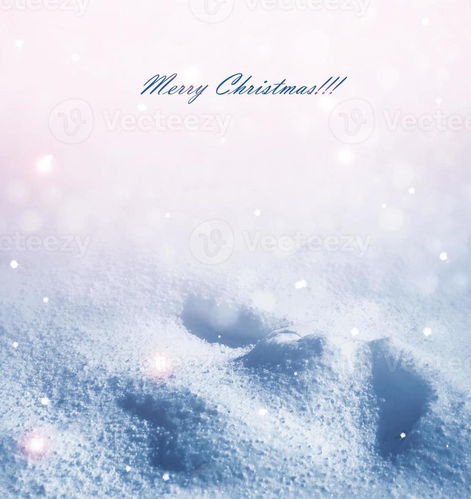 Background. Winter landscape. The texture of the snow photo